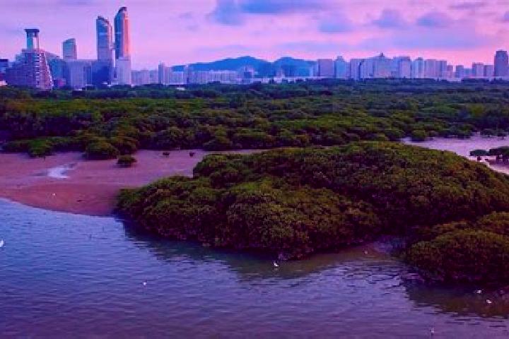 Scarlett, 34 — Escort in Danshui, China