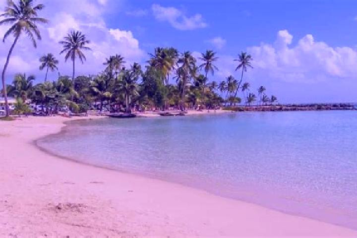 Scarlett, 34 — Escort in Sainte-Anne, Guadeloupe