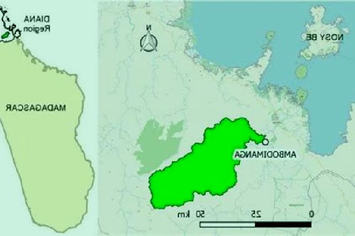 Scarlett, 35 — Escort in Ambodimanga II, Madagascar
