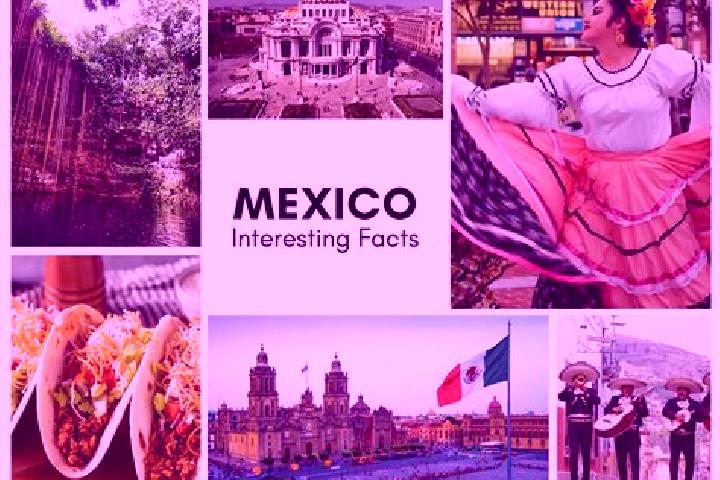 Scarlett, 35 — Escort in Huanacastal, Mexico