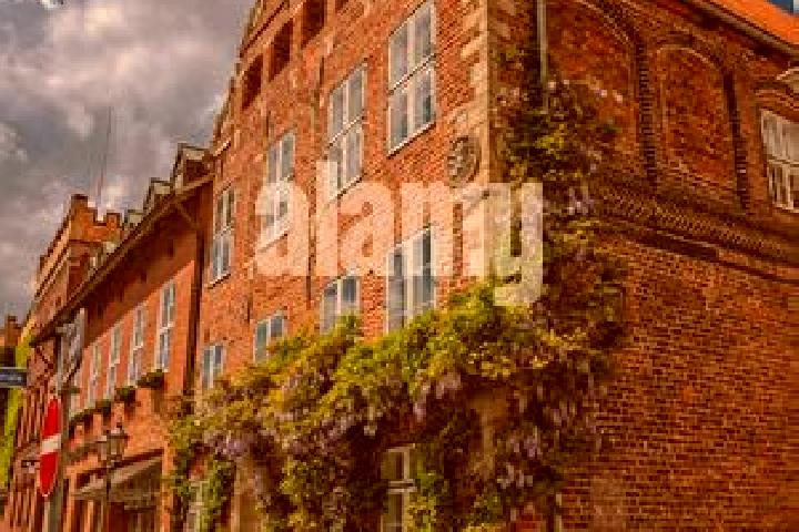 Scarlett, 35 — Escort in Lueneburg, Germany
