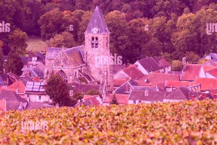 Scarlett, 36 — Escort in Avenay-Val-d Or, France