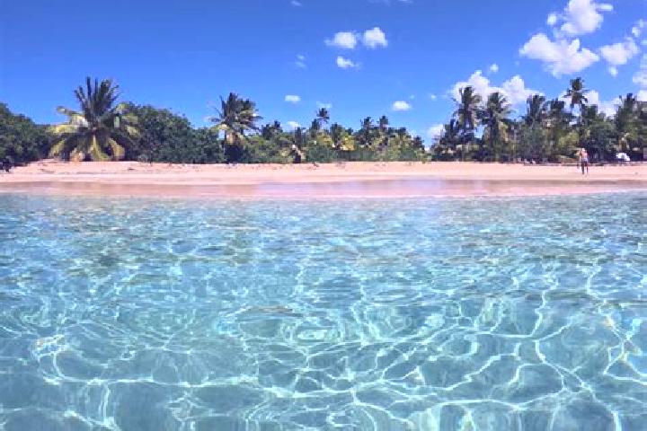 Scarlett, 36 — Escort in Manati, Puerto Rico