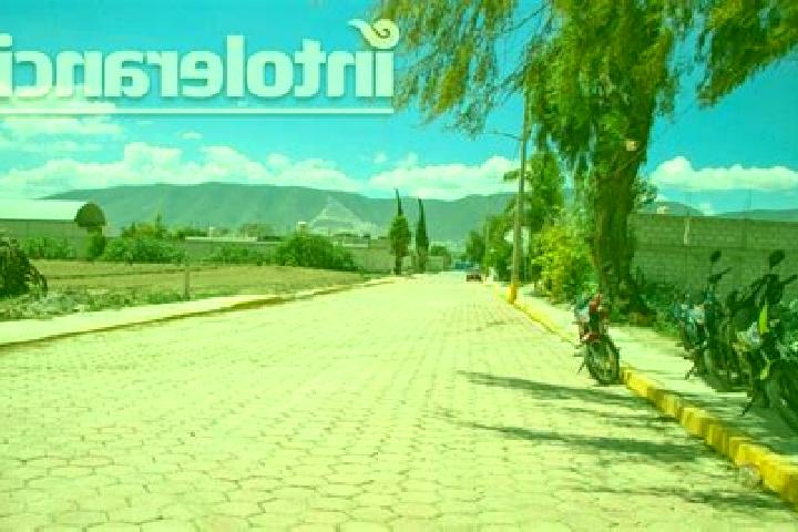 Scarlett, 36 — Escort in Palmarito Tochapan, Mexico