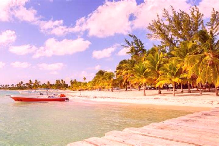 Scarlett, 36 — Escort in San Cristobal, Dominican Republic