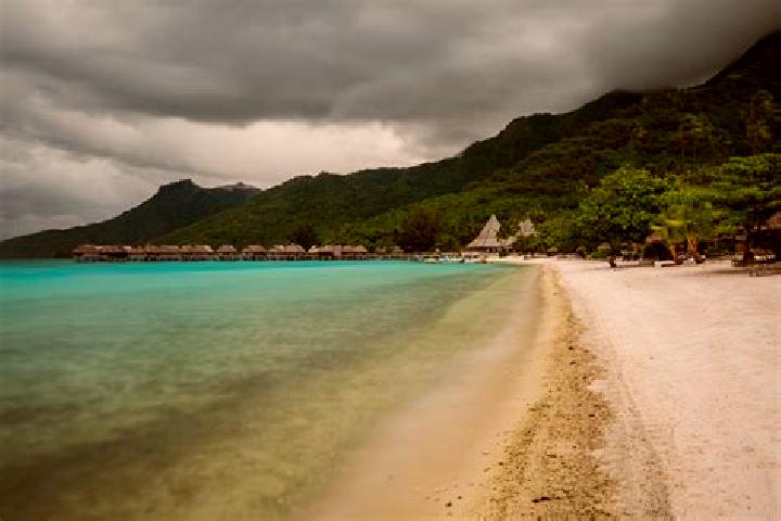 Scarlett, 36 — Escort in Teavaro, French Polynesia
