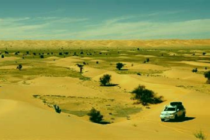 Scarlett, 36 — Escort in Tichla, Western Sahara