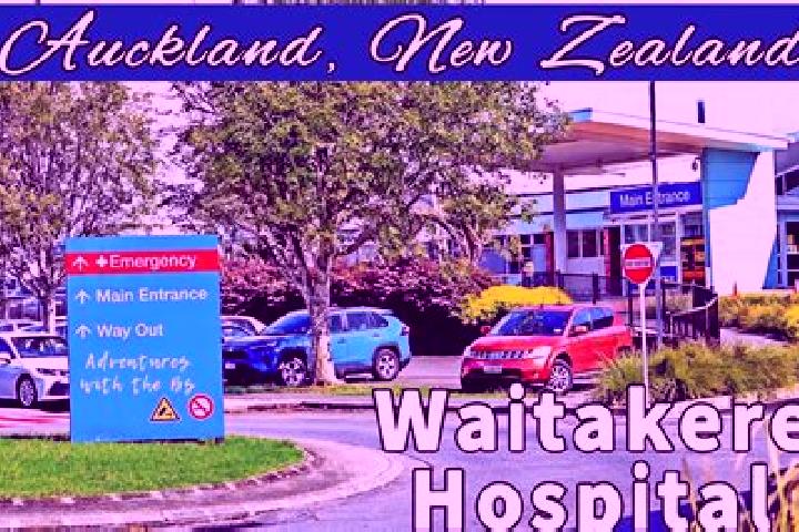 Scarlett, 36 — Escort in Waitakere, New Zealand