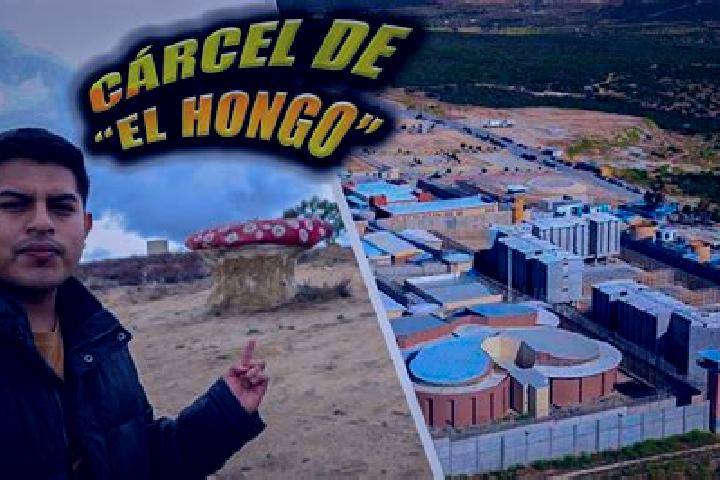 Scarlett, 37 — Escort in Cereso del Hongo, Mexico