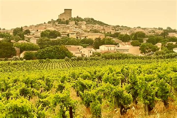 Scarlett, 37 — Escort in Chateauneuf-du-Pape, France