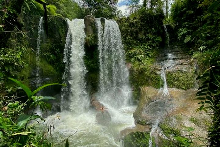Scarlett, 37 — Escort in El Eden, Honduras