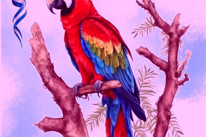 Scarlett, 37 — Escort in La Guacamaya, Honduras