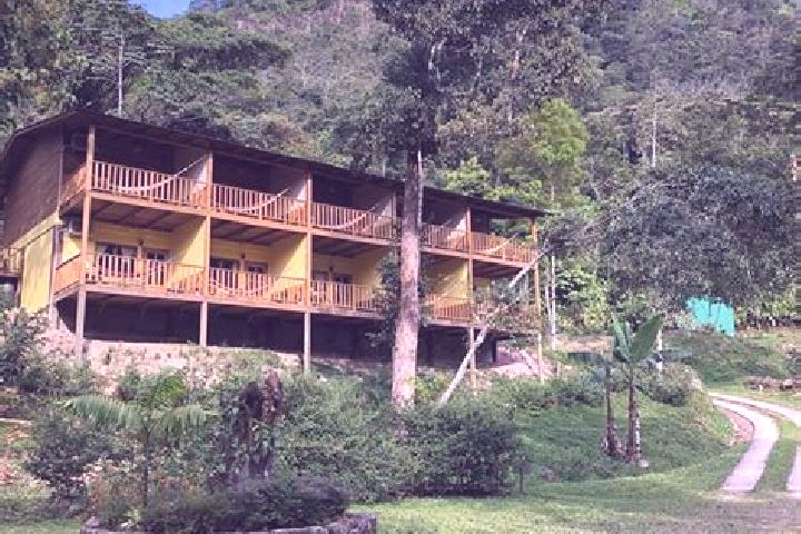 Scarlett, 37 — Escort in La Guama, Honduras