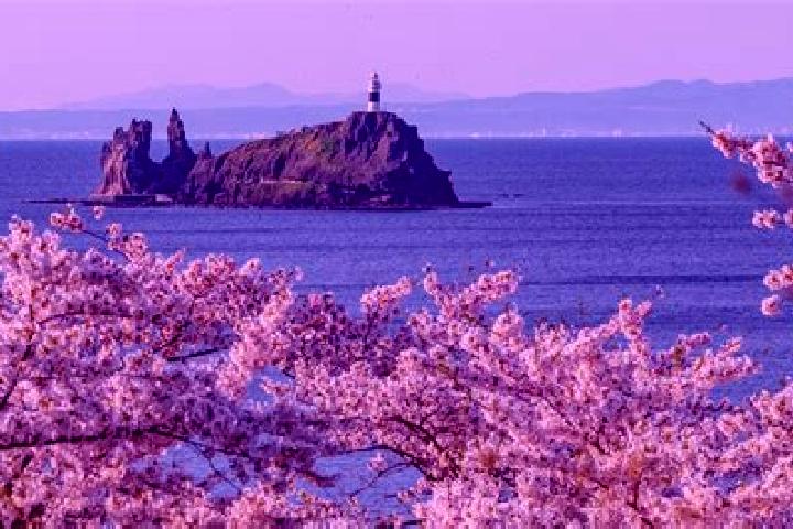 Scarlett, 37 — Escort in Mutsu, Japan
