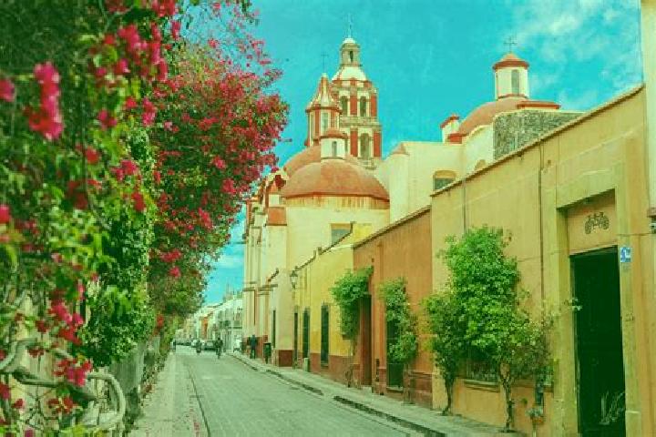 Scarlett, 37 — Escort in Santa Rosa Finca, Mexico