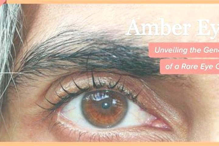 Scarlett, 38, a black amber-eyed european companion based in Paranoa. Offering Domination, Girlfriend Experience, Erotic Massage, Couples, 69. Available for ...