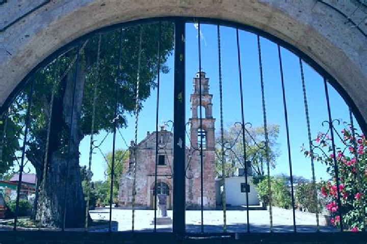 Scarlett, 38 — Escort in Ejido de Santa Maria Nativitas, Mexico