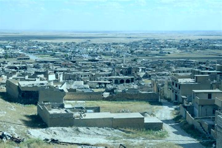 Scarlett, 38 — Escort in Sinjar, Iraq