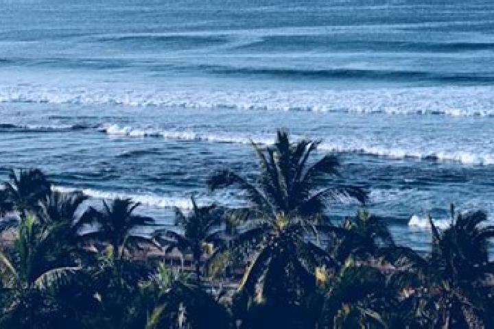 Scarlett, 39 — Escort in El Capire, Mexico
