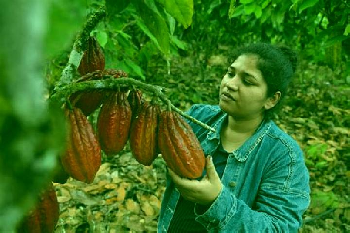 Scarlett, 39 — Escort in Francisco J. Santamaria (Cacao), Mexico