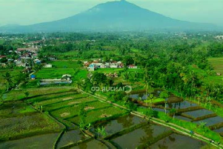 Scarlett, 39 — Escort in Kadupandak, Indonesia