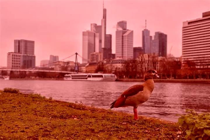 Sienna, 20 — Escort in Frankfurt am Main, Germany