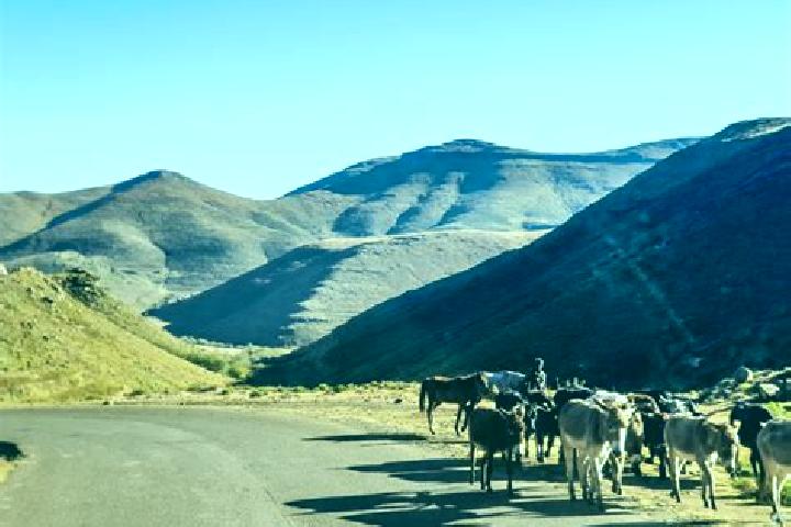 Sienna, 20 — Escort in Semonkong, Lesotho