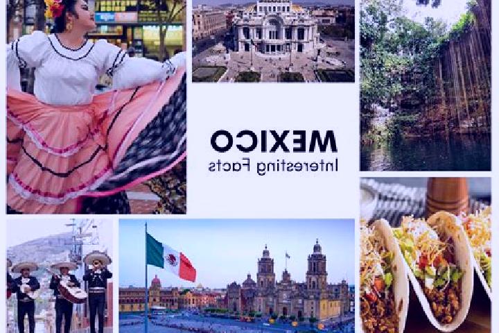 Sienna, 21 — Escort in Calzadas, Mexico