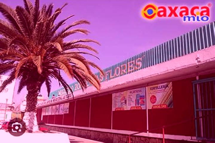 Sienna, 21 — Escort in Colonia las Flores, Mexico