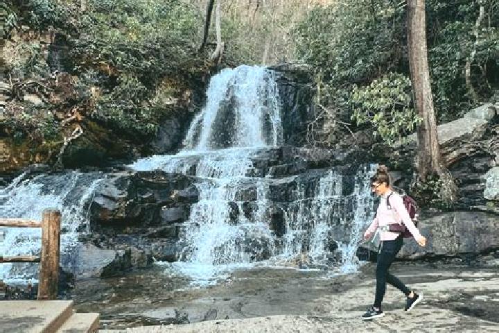 Sienna, 21 — Escort in Laurel Park, United States