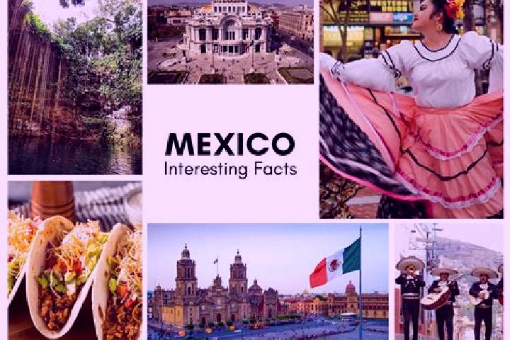 Sienna, 22 — Escort in Chalingo, Mexico