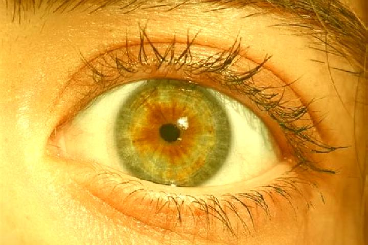 Sienna, 23, a red hazel-eyed mediterranean companion based in Miguel Hidalgo 2da. Seccion B (La Natividad). Offering Fetish, BDSM, 69, Duos, Girlfriend Exper...