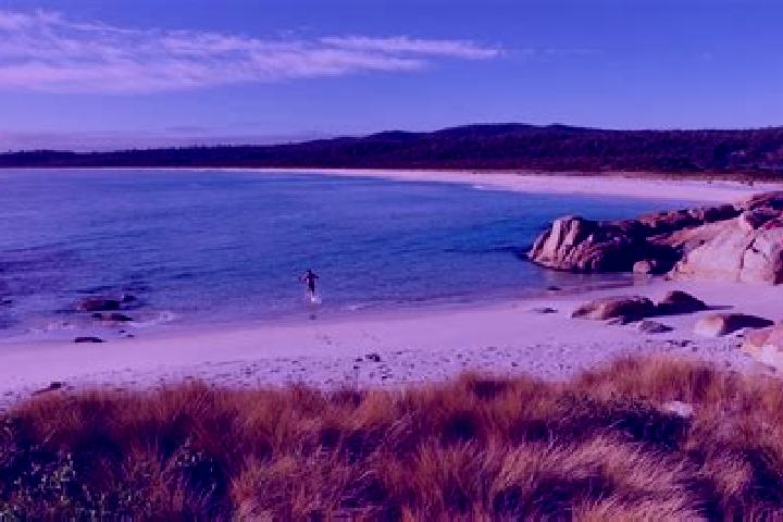 Sienna, 23 — Escort in Corlette, Australia