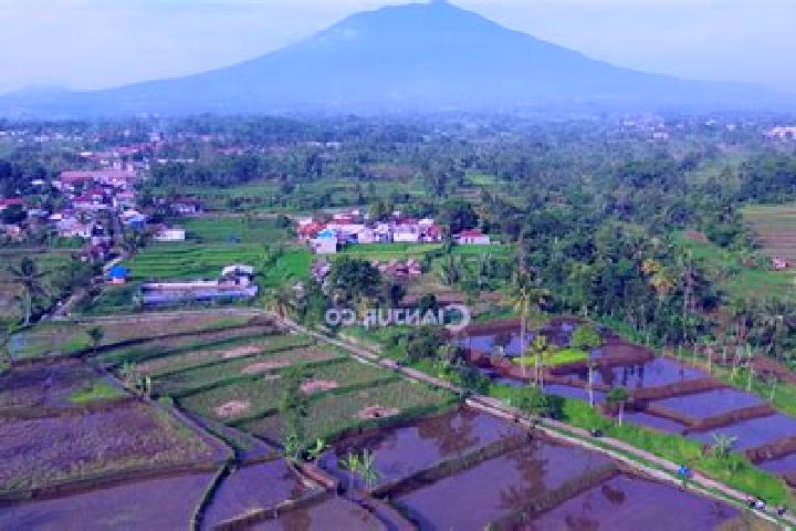 Sienna, 23 — Escort in Desa Sukajadi, Indonesia