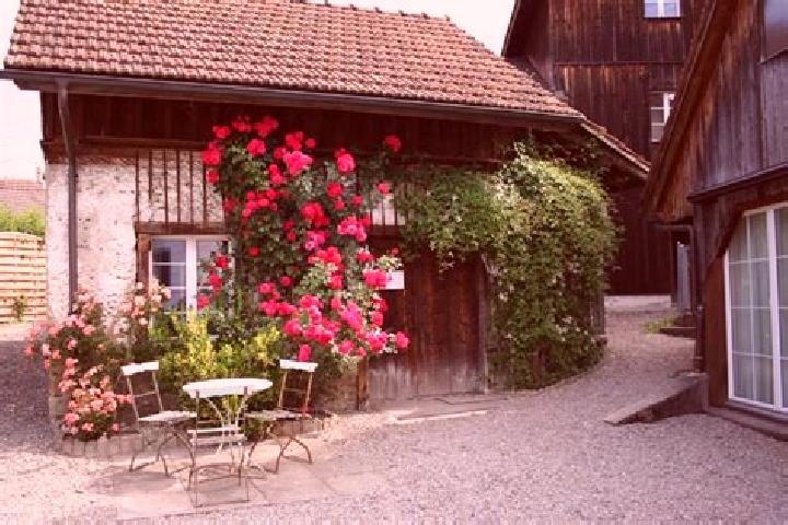 Sienna, 23 — Escort in Knonau, Switzerland