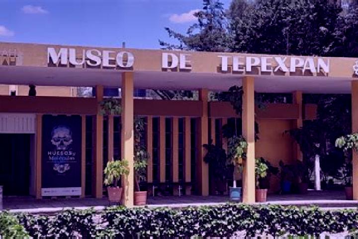 Sienna, 23 — Escort in Tepexpan, Mexico