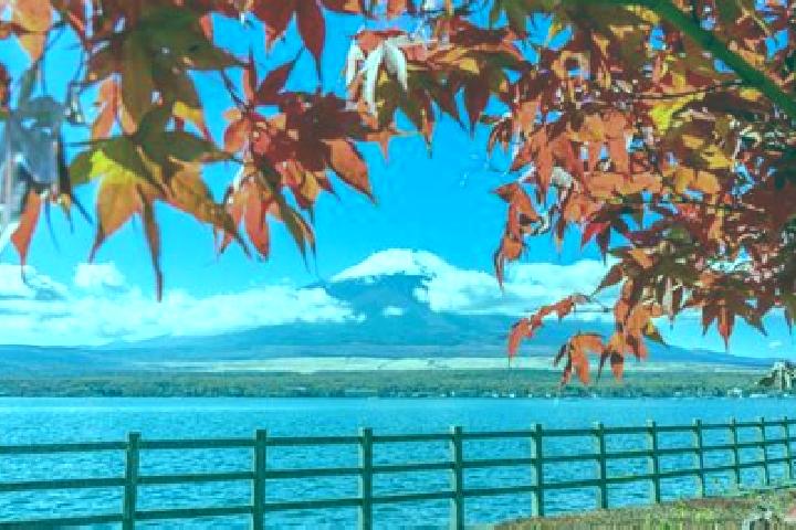 Sienna, 23 — Escort in Wakimachi, Japan
