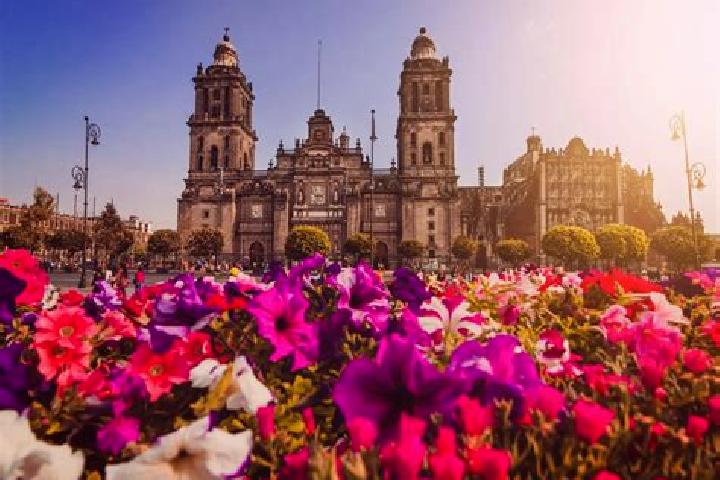 Sienna, 24 — Escort in Ciudad Tula, Mexico