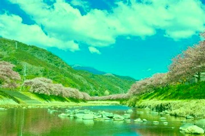 Sienna, 24 — Escort in Kawazu-ikadaba, Japan