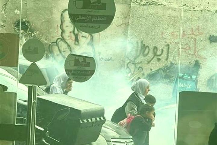 Sienna, 24 — Escort in Shu fat, Palestine