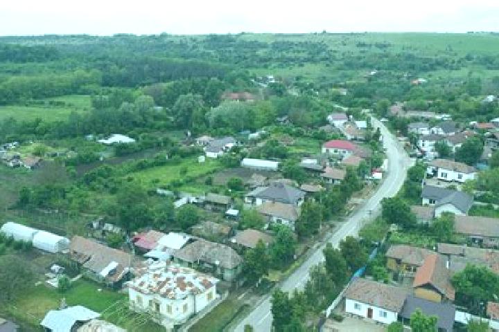 Sienna, 24 — Escort in Varvoru de Jos, Romania