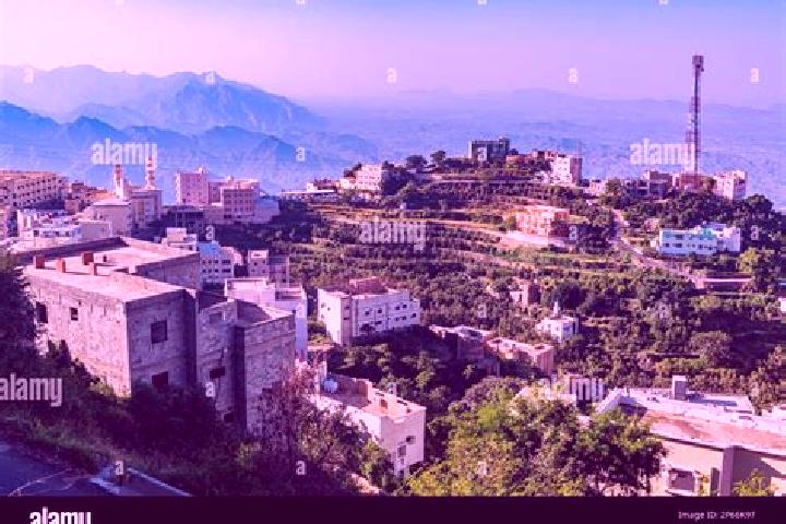 Sienna, 25 — Escort in Fayfa , Saudi Arabia