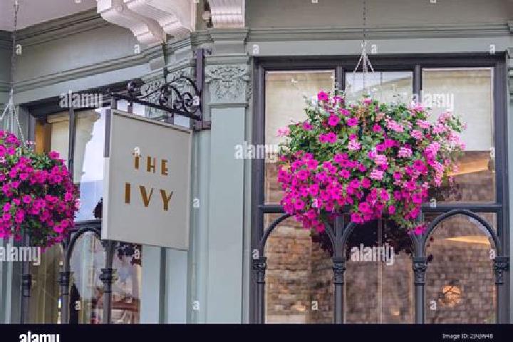 Sienna, 25 — Escort in Ivy, United States