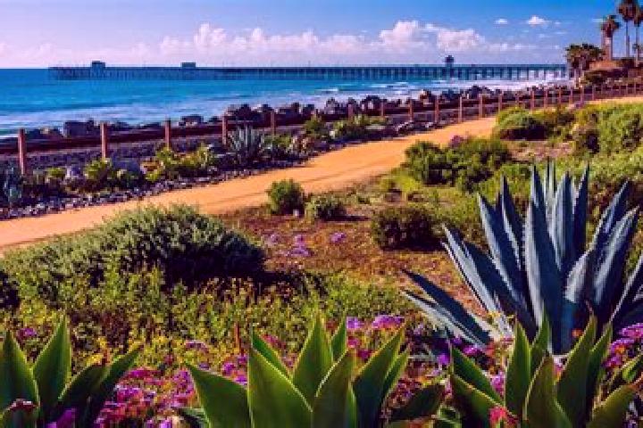 Sienna, 25 — Escort in San Clemente, Spain
