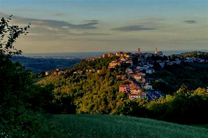 Sienna, 25 — Escort in Sogliano al Rubicone, Italy