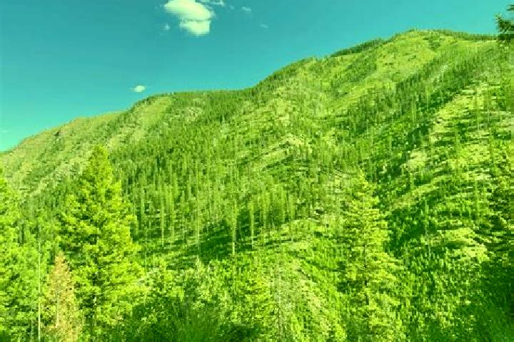 Sienna, 25 — Escort in West Fork, United States