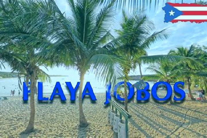 Sienna, 26 — Escort in Jobos, Puerto Rico