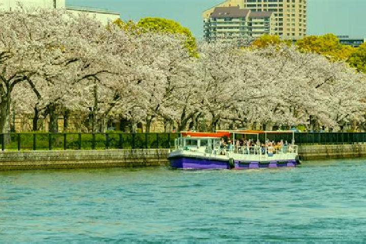 Sienna, 26 — Escort in Nakanoshima, Japan