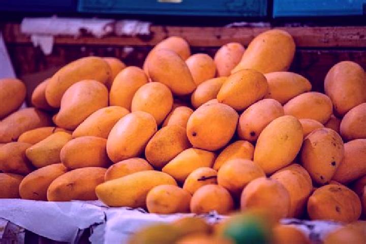 Sienna, 26 — Escort in Plan de los Mangos, Mexico