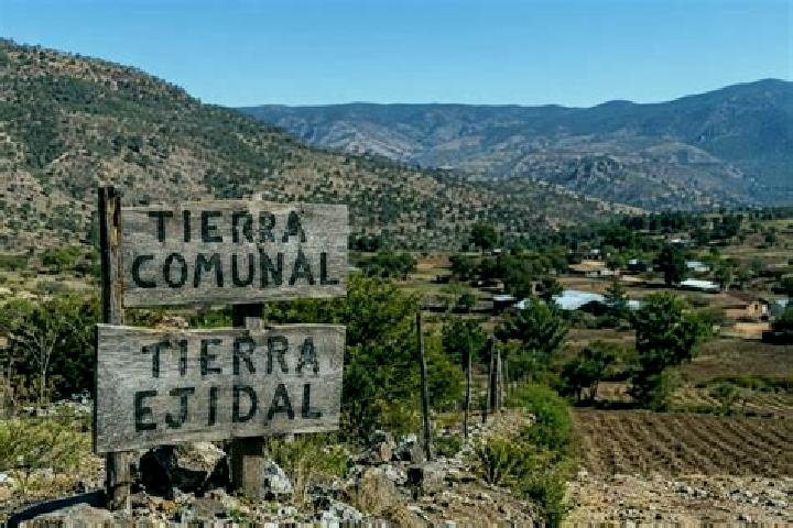 Sienna, 26 — Escort in Union Ejidal Tierra y Libertad, Mexico